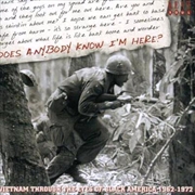 Buy Does Anybody Know I'm Here? Vietnam Through The Eyes Of Black America 1962 - 1972