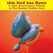 Buy This Bird Has Flown - Tribute