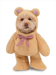 Buy Walking Teddy Bear M