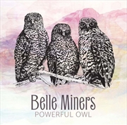 Buy Powerful Owl