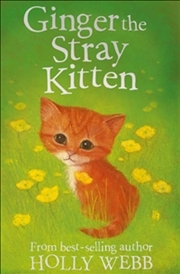 Buy Ginger the Stray Kitten