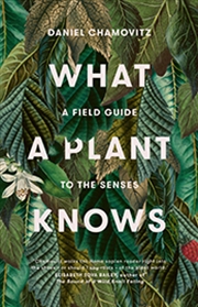 Buy What a Plant Knows: A Field Guide to the Senses (Revised Edition)