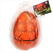 Buy Large T-Rex Dinosaur Hatching Egg