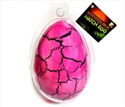 Buy Large Stegosaurus Dinosaur Hatching Egg