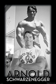 Buy Arnold Schwarzenegger - Gym