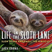 Buy Life In The Sloth Lane