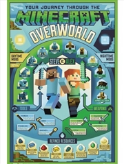 Buy Minecraft Overworld Biome