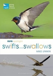 Buy RSPB Spotlight Swifts and Swallows