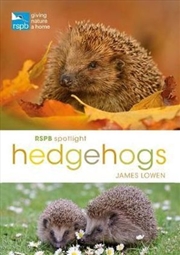 Buy RSPB Spotlight Hedgehogs