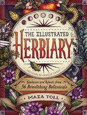 Buy Illustrated Herbiary: Guidance and Rituals from 36 Bewitching Botanicals