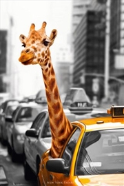 Buy Giraffe-Nyc Taxi Cab