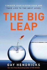 Buy Big Leap Conquer Your Hidden Fear and Take Life to the Next Level