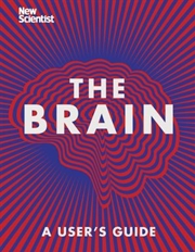 Buy Brain: A Users Guide