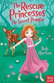 Buy The Secret Promise: Rescue Princesses