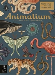 Buy Animalium