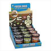 Buy Assorted Fossil Dig In Tub