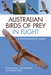 Buy Australian Birds Of Prey In Flight