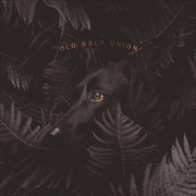 Buy Where The Dogs Don't Bite - Limited Edition Orange Coloured Vinyl