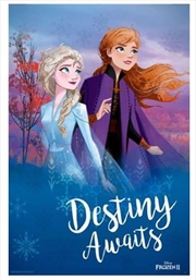 Buy Frozen 2 - Destiny Awaits