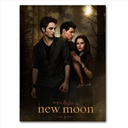 Buy Twilight Saga: New Moon - 1000 Piece Jigsaw Puzzle