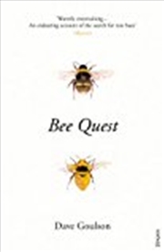 Buy Bee Quest