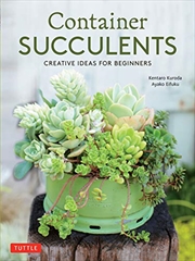 Buy Container Succulents: Creative Ideas For Beginners