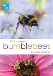 Buy Rspb Spotlight Bumblebees