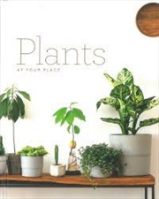 Buy Plants At Your Place Easy Home Style Series