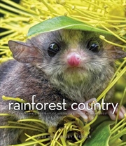 Buy Rainforest Country