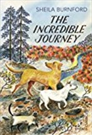 Buy The Incredible Journey