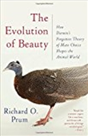 Buy The Evolution Of Beauty