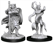 Buy Dungeons & Dragons - Nolzur's Marvelous Unpainted Minis: Hobgoblin Devastator & Iron Shadow