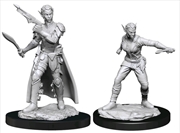 Buy Dungeons & Dragons - Nolzur's Marvelous Unpainted Minis: Shifter Rogue Female