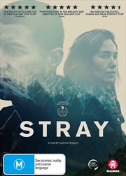 Buy Stray