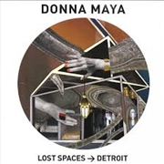 Buy Lost Spaces - Detroit