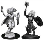 Buy Dungeons & Dragons - Nolzur's Marvelous Unpainted Miniatures: Changeling Cleric Male