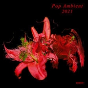 Buy Pop Ambient 2021