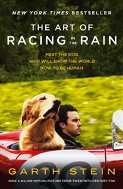 Buy The Art of Racing in the Rain