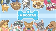 Buy Dogtag