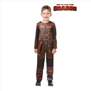 Buy How To Train Your Dragon Hiccup Classic Costume: Size L