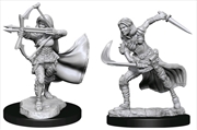 Buy Dungeons & Dragons - Nolzur's Marvelous Unpainted Minis: Air Genasi Female