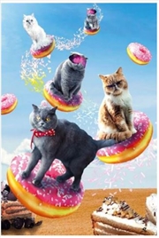 Buy Random Galaxy - Cats Riding Donuts