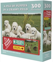 Buy A Pile Of Puppies In A Grassy Field - Prank Puzzle 300 pieces