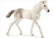 Buy Schleich - Holsteiner Foal