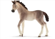 Buy Schleich - Andalusian Foal