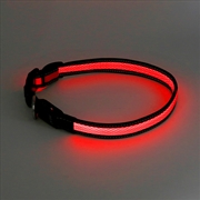 Buy Laser - Mighty Pet Rechargeable LED Reflective Collar Medium Size - Red
