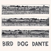 Buy Bird Dog Dante