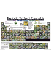 Buy Periodic Table Of Cannabis Poster