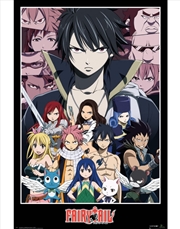 Buy Fairy Tail Group Poster