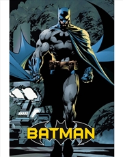 Buy DC Comics Batman Comic Poster
